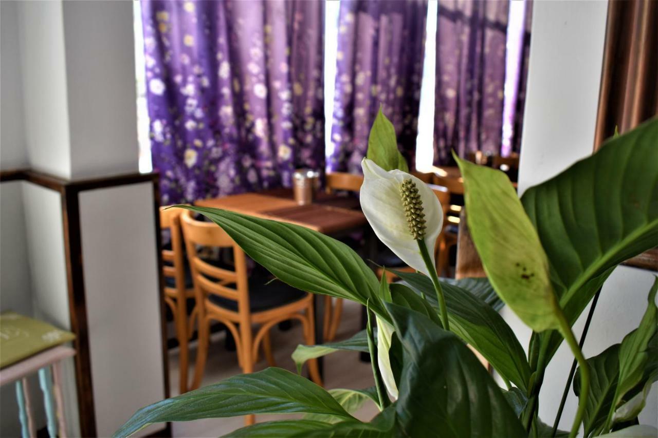 Aphrodite Art Hotel Aegina Luaran gambar