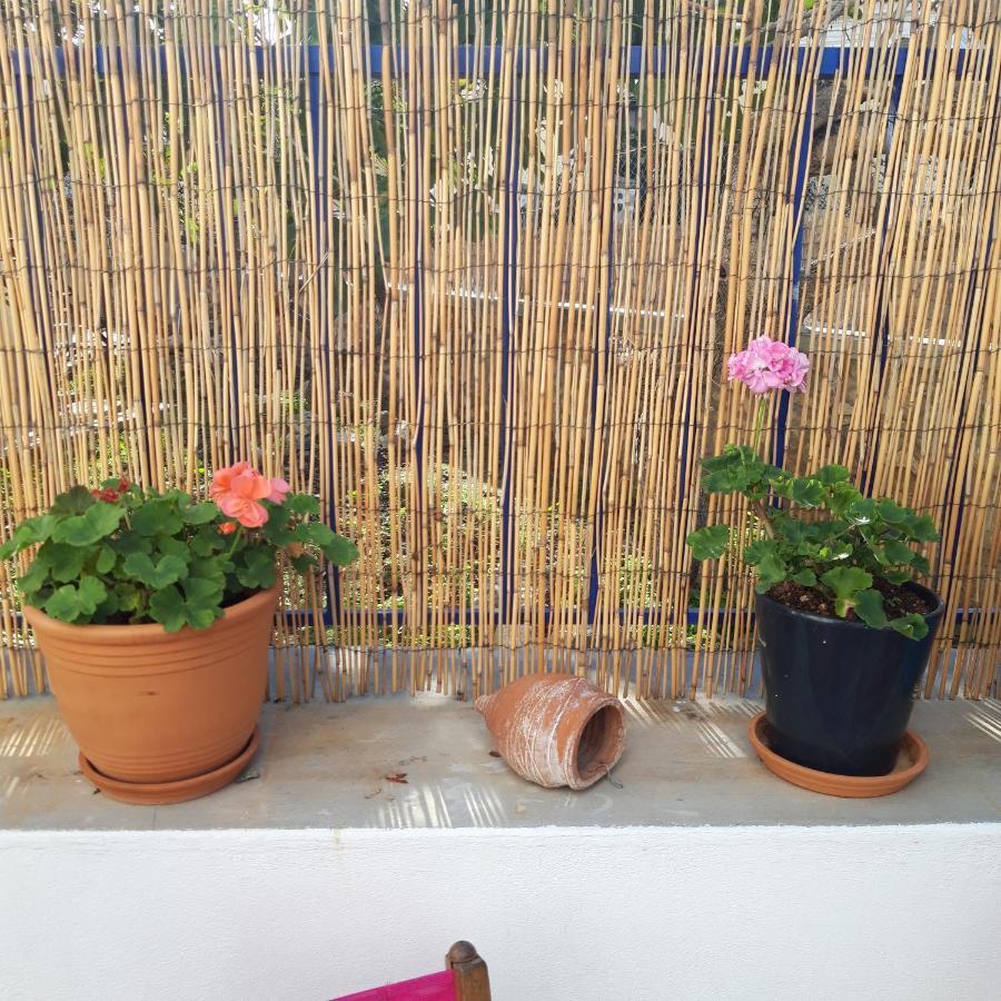 Aphrodite Art Hotel Aegina Luaran gambar